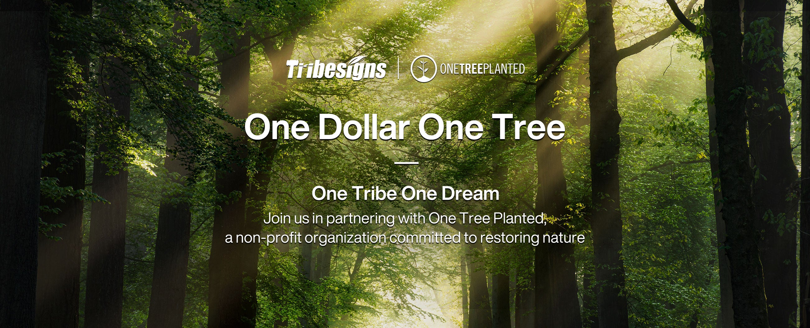Tribesigns a planté 19 000 arbres grâce au partenariat de reforestation One Tree Planted